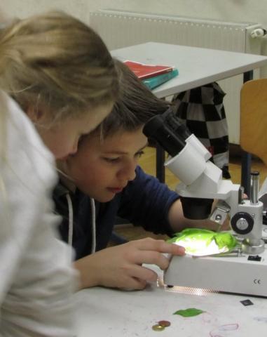 Schüler beim mikrospopieren